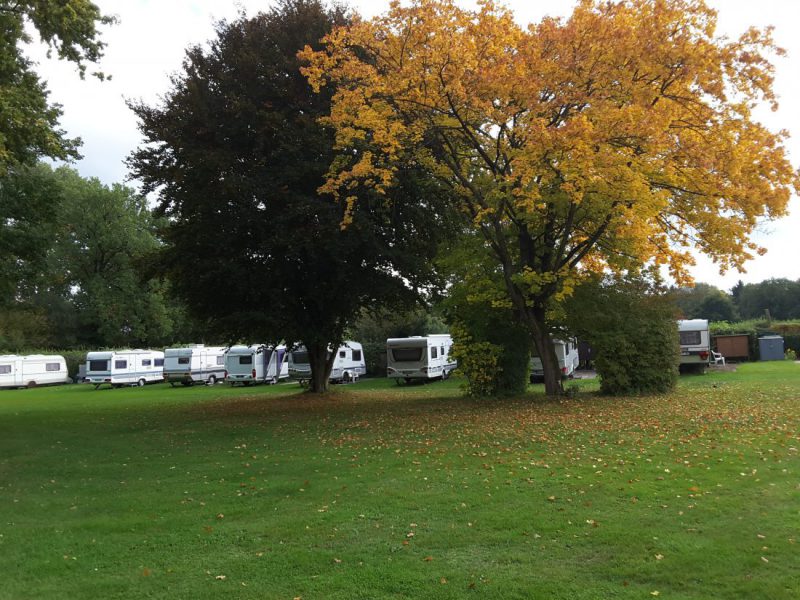 Liegewiese 2 im Herbst Liegewiese 2 im Herbst